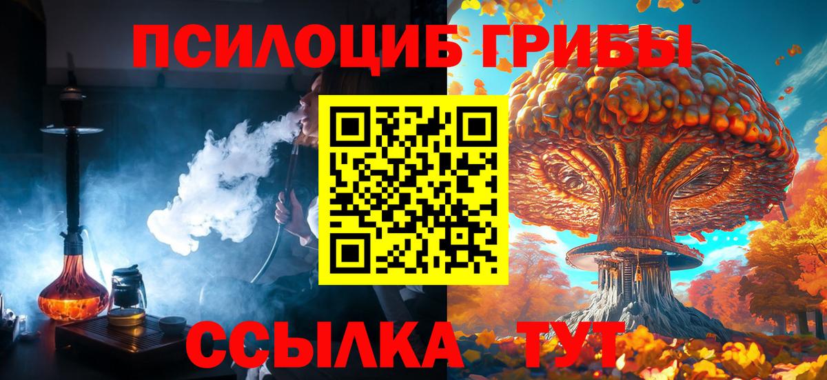 Псилоцибиновые грибы Psilocybe  Вход с VPN  купить   Отрадное 